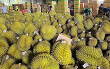 Tăng cường thúc đẩy hợp tác thương mại Việt Nam-Trung Quốc