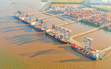 Loạt lãnh đạo Gemadept ồ ạt dự chi trăm tỷ mua cổ phiếu