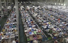 Các công ty có quay lại Mỹ?