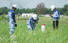 Hơn 5.000 tỷ đồng để giải phóng mặt bằng cao tốc TPHCM - Mộc Bài