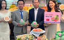 Bất ngờ giá bưởi Việt Nam bán trên kệ siêu thị Hàn Quốc