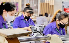 Thu nhập công nhân may thuộc nhóm thấp nhất
