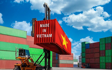 Mỹ giãn áp thuế 46%: Doanh nghiệp Việt nối lại đơn hàng, tìm thêm thị trường mới