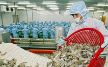 Mỹ hoãn áp thuế 90 ngày: Doanh nghiệp thủy sản đề xuất ‘nóng’