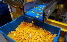 Tập đoàn châu Âu đặt "siêu nhà máy tỷ đô" lớn thứ 2 châu Á ở Việt Nam: Bên trong có gì đặc biệt?