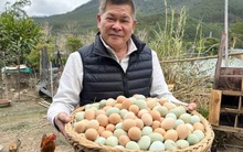 Nam diễn viên hạng A phá sản vì món nợ 191 tỷ, lâm cảnh thảm về quê bán trứng gà, khoai lang kiếm sống