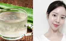 Người Việt có 1 loại lá nhơn nhớt được ví như kem chống nắng tự nhiên, khoa học coi như "thần dược" chống lão hóa