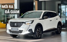 Loạt xe mới ra mắt Việt Nam năm nay đã giảm giá: Carnival hybrid dưới 1,8 tỷ, 2008 còn hơn 680 triệu cạnh tranh Xforce