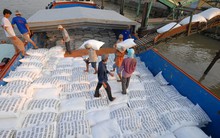 Thị trường xuất khẩu gạo lớn nhất của Việt Nam có diễn biến mới