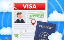 Cài đặt phần mềm làm Visa online giả mạo, thanh niên ở Hà Nội bị lừa mất gần 200 triệu đồng