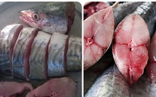 Loại cá giàu Omega-3 hơn cả cá hồi, có nhiều ở Việt Nam