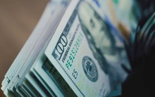 USD trượt giá, một đồng tiền khác 'trỗi dậy' trở thành 'hầm trú ẩn' mới cho giới đầu tư toàn cầu, tăng gần 4% chỉ trong 2 ngày