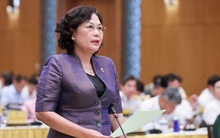 EVN kiến nghị cho vay ngoại tệ, Thống đốc NHNN nói gì?