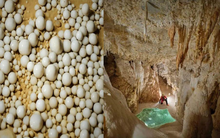 Đang đào mương dẫn nước, "kho báu" 480 triệu năm tuổi bất ngờ lộ diện: kì quan có 1-0-2 ở Trung Quốc