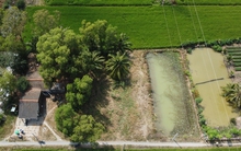 Sẽ trình Quốc hội về miễn thuế sử dụng đất nông nghiệp đến hết năm 2030