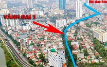 Hà Nội chặt hạ, di chuyển gần 100 cây xanh làm đường 'đắt nhất hành tinh'