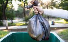 Dọn nhà, cô gái vô tình vứt thứ trị giá 100 tỷ đồng vào thùng rác