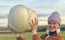 Cô gái phát hiện cây "lạ" khổng lồ, ôm về nhà ai cũng bất ngờ