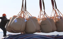 Sản lượng Việt Nam đứng thứ 8 thế giới vẫn ồ ạt nhập trăm triệu USD mặt hàng này từ Mỹ - các 'đại bàng' cũng đang đua nhau rót vốn đầu tư