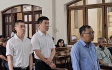 Xét xử vụ xây dựng hơn 500 biệt thự, nhà trái phép ở Đồng Nai