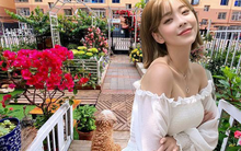 Từ bãi đất trống thành "thiên đường": Cô gái bỏ phố về biển, cải tạo 50m² sân vườn, ai đi ngang cũng phải ngoái nhìn