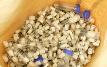 Hai thiếu niên bị bắt giữ vì vận chuyển lậu 5.000 con kiến