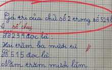 Một bài toán tiểu học đơn giản nhưng khiến dân tình xào xáo: Cô hay trò mới là người đúng?