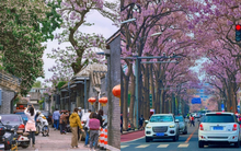 Dòng người đổ về 1 con hẻm bé tí ở Bắc Kinh, chiêm ngưỡng tuyệt tác Bào đồng "cây hoa mọc từ mái nhà"