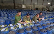 Làm 3.500 tấn giá đỗ ngâm hóa chất cấm rồi bán cho người dân