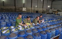 Nghệ An triệt phá ổ sản xuất 3.500 tấn giá đỗ ngâm hóa chất "nước kẹo" có thể gây xơ phổi