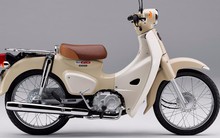 Super Cub Lite liệu có thể 'gây sốt' tại thị trường Việt Nam khi Honda chính thức khai tử xe 50cc từ tháng 5/2025?