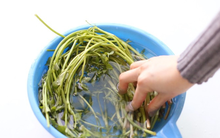 2 loại rau dễ "ngậm" thuốc sâu, nhất là cái số 1