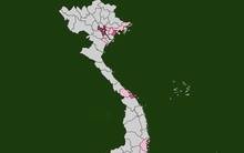 Quy mô và số xã, phường của 6 thành phố trực thuộc Trung ương sau sáp nhập