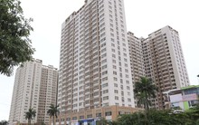 Người trẻ có thêm cơ hội "an cư lạc nghiệp"