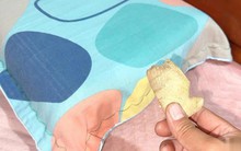 Đặt gừng cạnh gối tốt ngang "ăn nhân sâm bổ ngàn năm", hôm nay tôi mới biết thật lãng phí nửa đời người