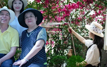 Tôi thiết kế một khu vườn tặng bố mẹ sau khi họ nghỉ hưu – và nhận về nhiều hơn mình nghĩ!