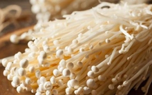 Cách nhận biết nấm kim châm có chứa formaldehyde