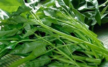 Loại rau bổ hơn thực phẩm chức năng, mát tựa thuốc giải nhiệt, đi chợ gặp phải mua liền!