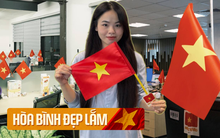 Trung bình văn phòng làm việc những ngày này: Ngập cờ đỏ sao vàng, cực "sĩ" với đồng nghiệp nước ngoài