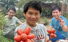 Cuộc sống tuổi 49 cực chill của Trọng Tấn trong biệt thự sân vườn tại Thanh Hóa: Nuôi gà, trồng rau má, hái nhót chín