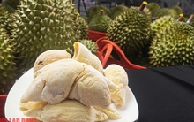 Loại quả phải “giải cứu” nhiều năm, nay giá còn cao hơn sầu riêng