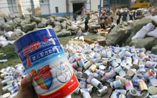 Những độc tố phổ biến trong các vụ bê bối sữa giả có hại như thế nào?