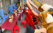 3 dấu hiệu nhận biết quán ăn ngon ở Việt Nam khiến dân mạng gật gù, dấu hiệu thứ 2 từng khiến khách Tây phấn khích