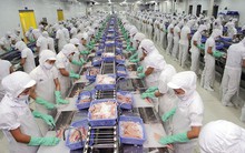 Vĩnh Hoàn hạ mục tiêu lợi nhuận công ty mẹ năm 2025