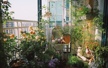 Với khu vườn 5m² trên ban công, cô gái trẻ tìm thấy một không gian thư giãn, giúp cân bằng lại cuộc sống giữa bộn bề công việc và lo toan