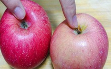 Mua táo chỉ cần nhìn 1 điểm là biết hàng ngon hay dở: Mẹo này dân sành ăn thuộc nằm lòng!