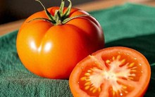 Ra chợ gặp 4 loại cà chua này, tươi ngon, rẻ mấy cũng đừng mua