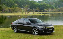 Phân khúc bị khách Việt 'lạnh nhạt' nhất thị trường: 3/4 xe lọt top bán ế, Toyota Camry bán gấp 4 lần các đối thủ còn lại