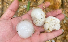 Mưa đá to bằng quả trứng ào ào trút xuống Hà Giang