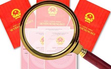 Thanh toán đầy đủ bằng cả chuyển khoản và tiền mặt 1,42 tỷ đồng, một phụ nữ "tá hỏa" nhận về 18 sổ đỏ giả